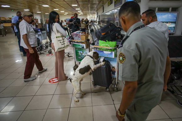 Detectan en el aeropuerto de Varadero introducción de drogas